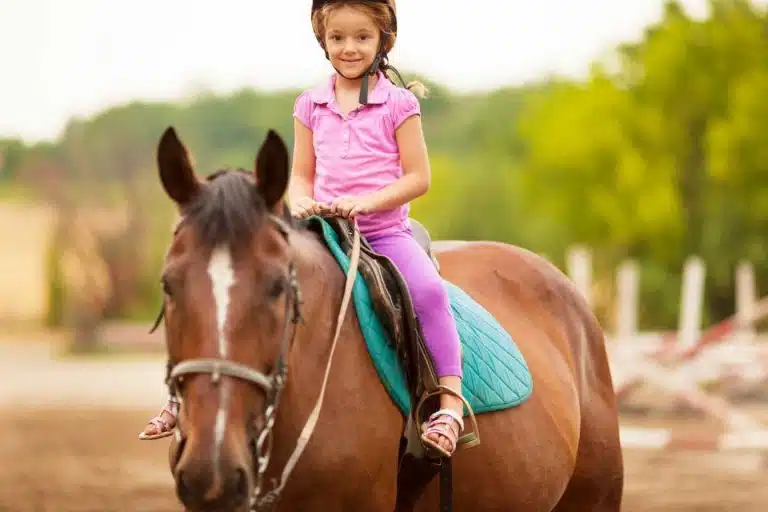 est ce que l equitation est un sport 1