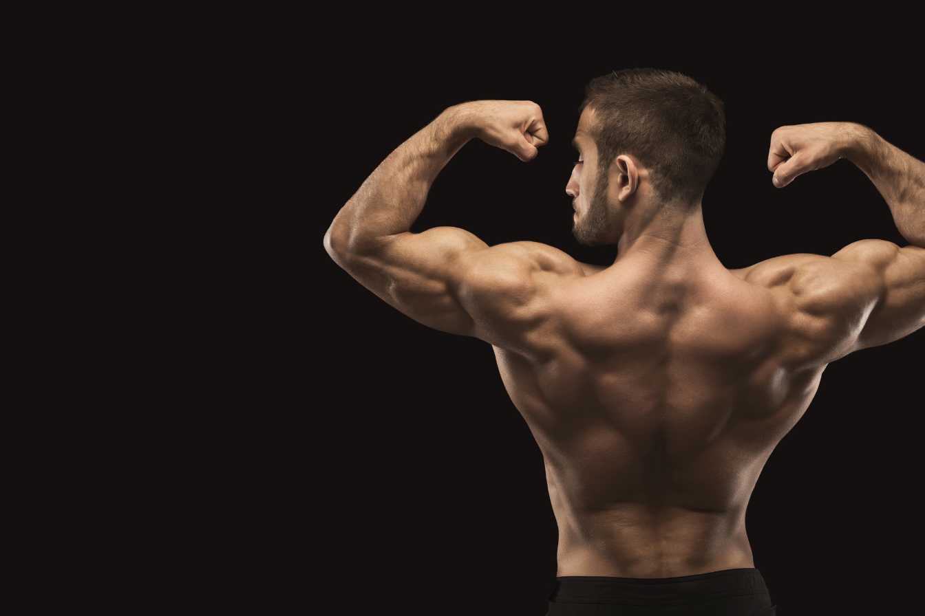 musculation-des-trapezes-guide-complet-pour-des-epaules-puissantes-et-massives-2